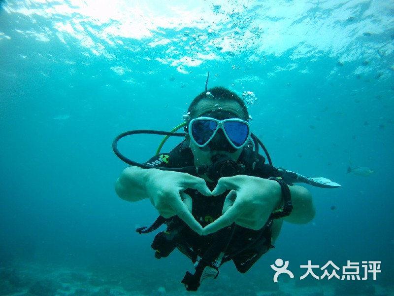 新糖果怪物